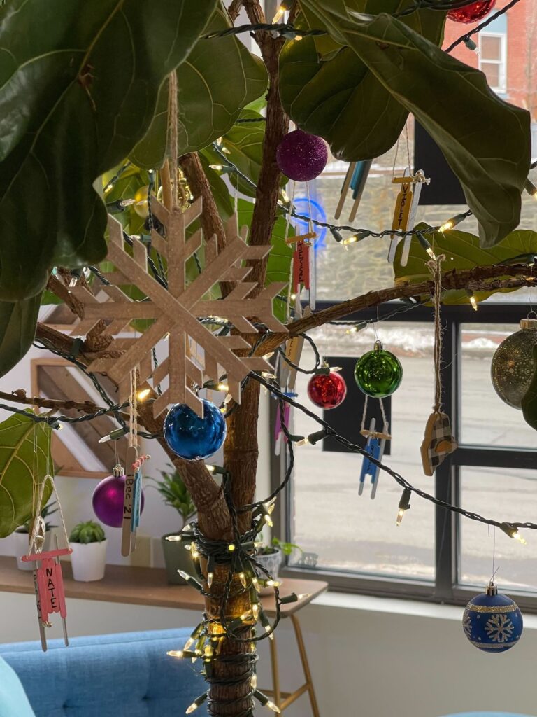 Ornaments hanging on fig tree in the iBec office
