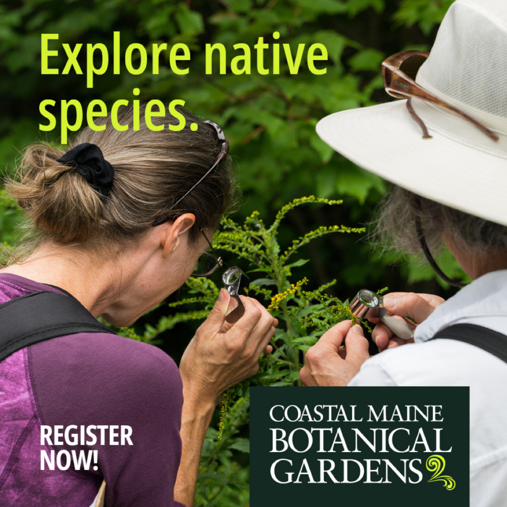 An ad for Coastal Maine Botanical Gardens that shows two people looking at a plant through magnifying glasses.